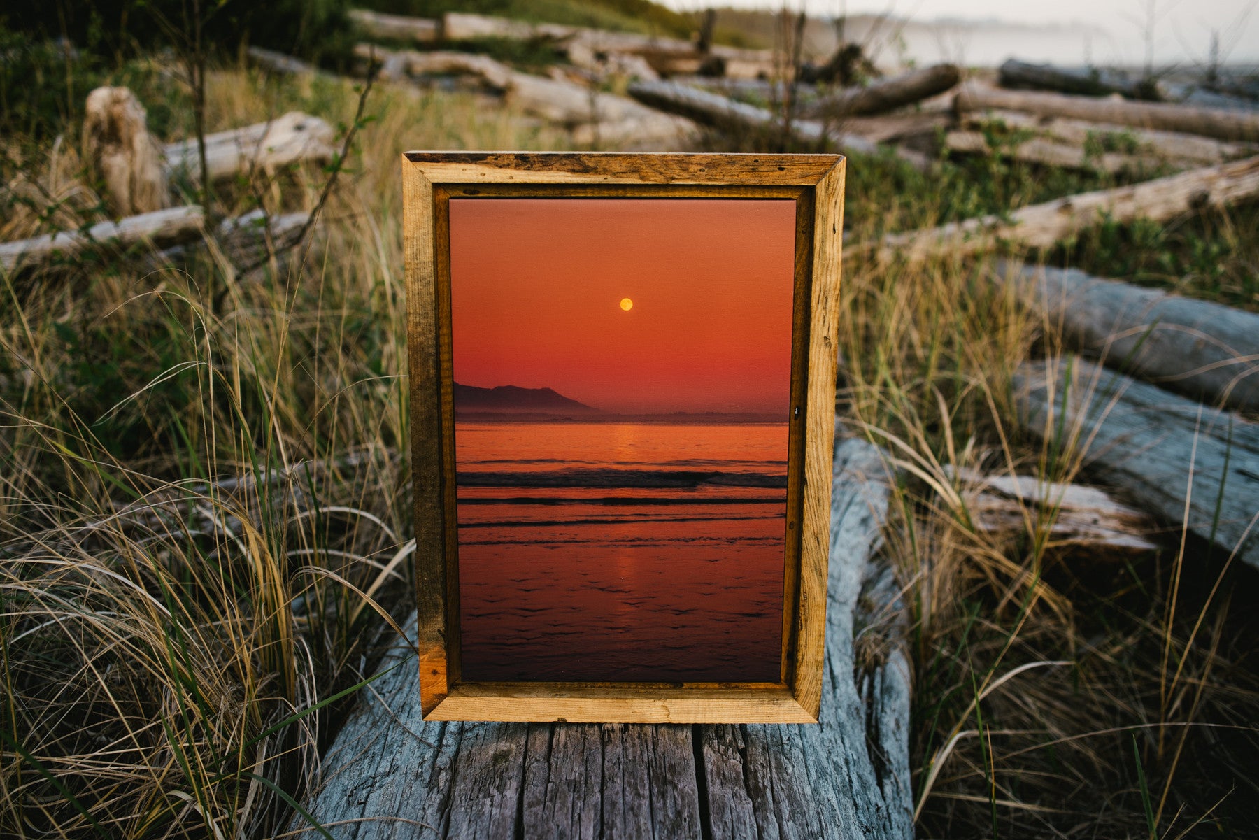 Salmon Moonrise, Schooner Cove