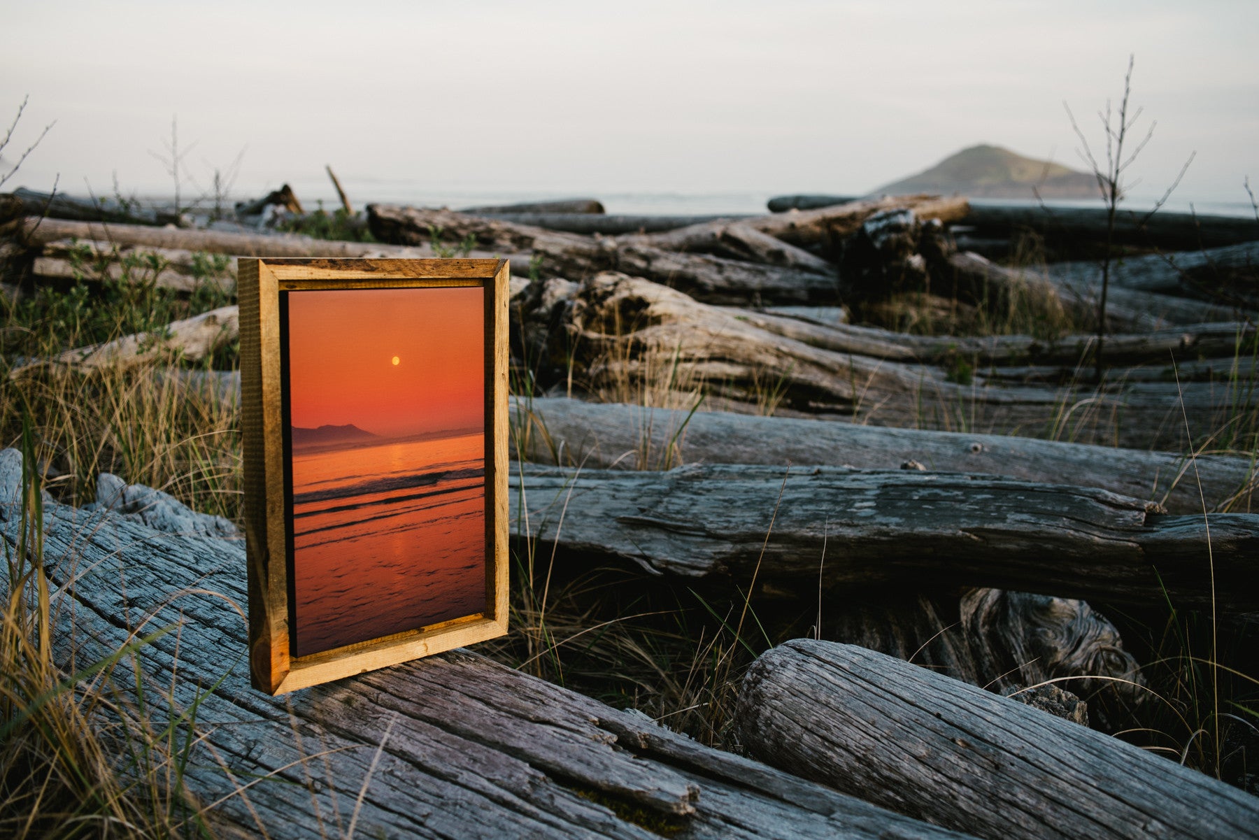 Salmon Moonrise, Schooner Cove