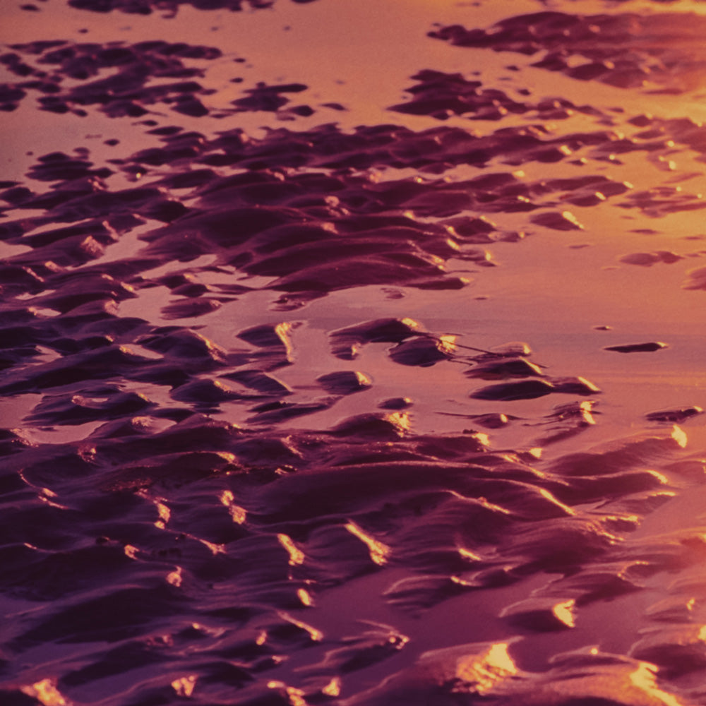 Beach Abstract, 35mm