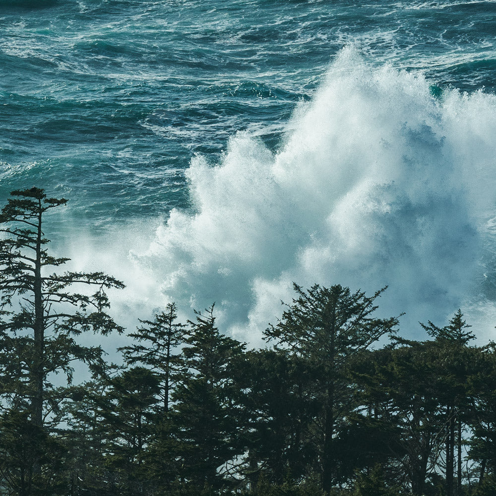 Sea Tempest, Tofino BC