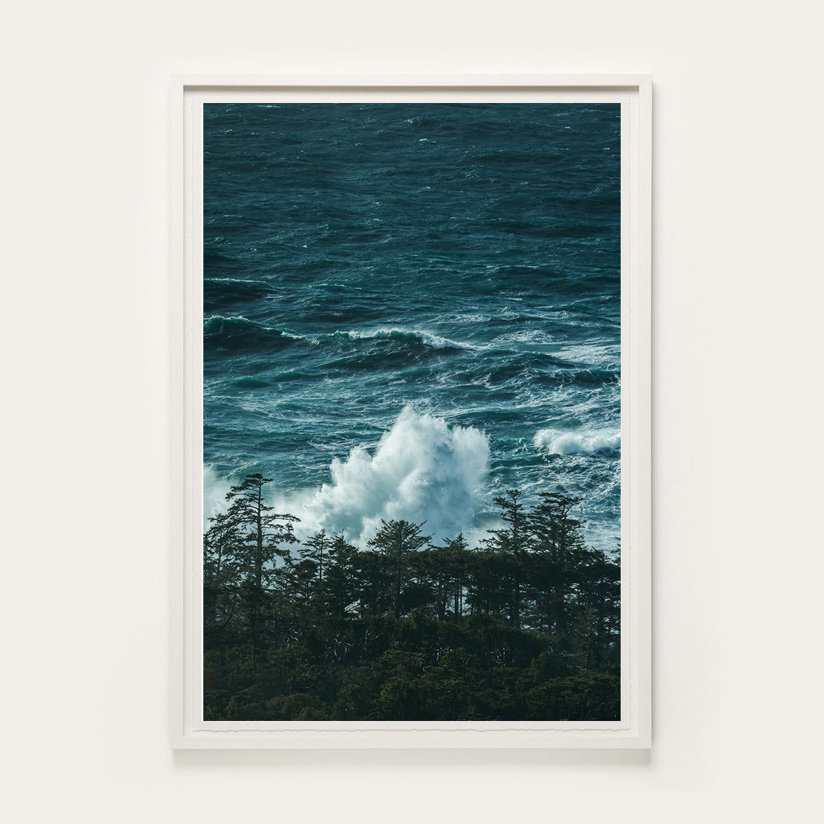 Sea Tempest, Tofino BC