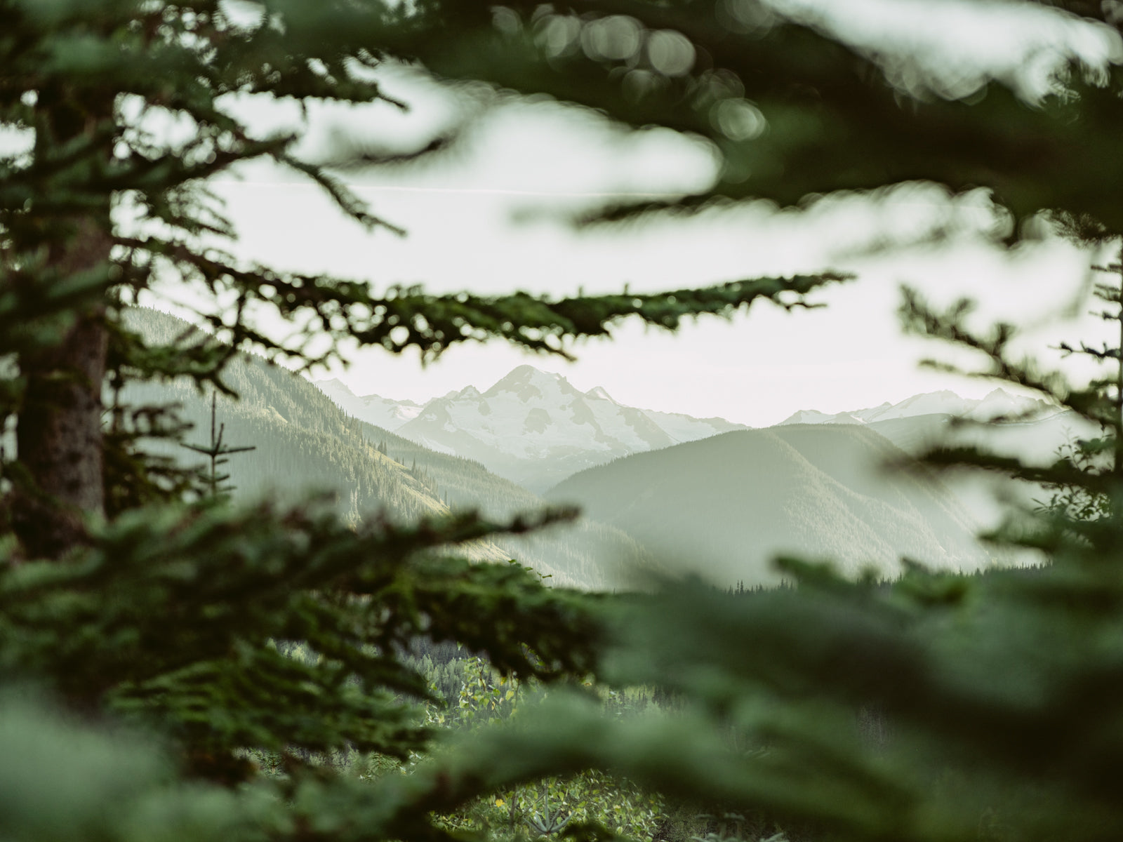 Tahltan Land, Northern BC