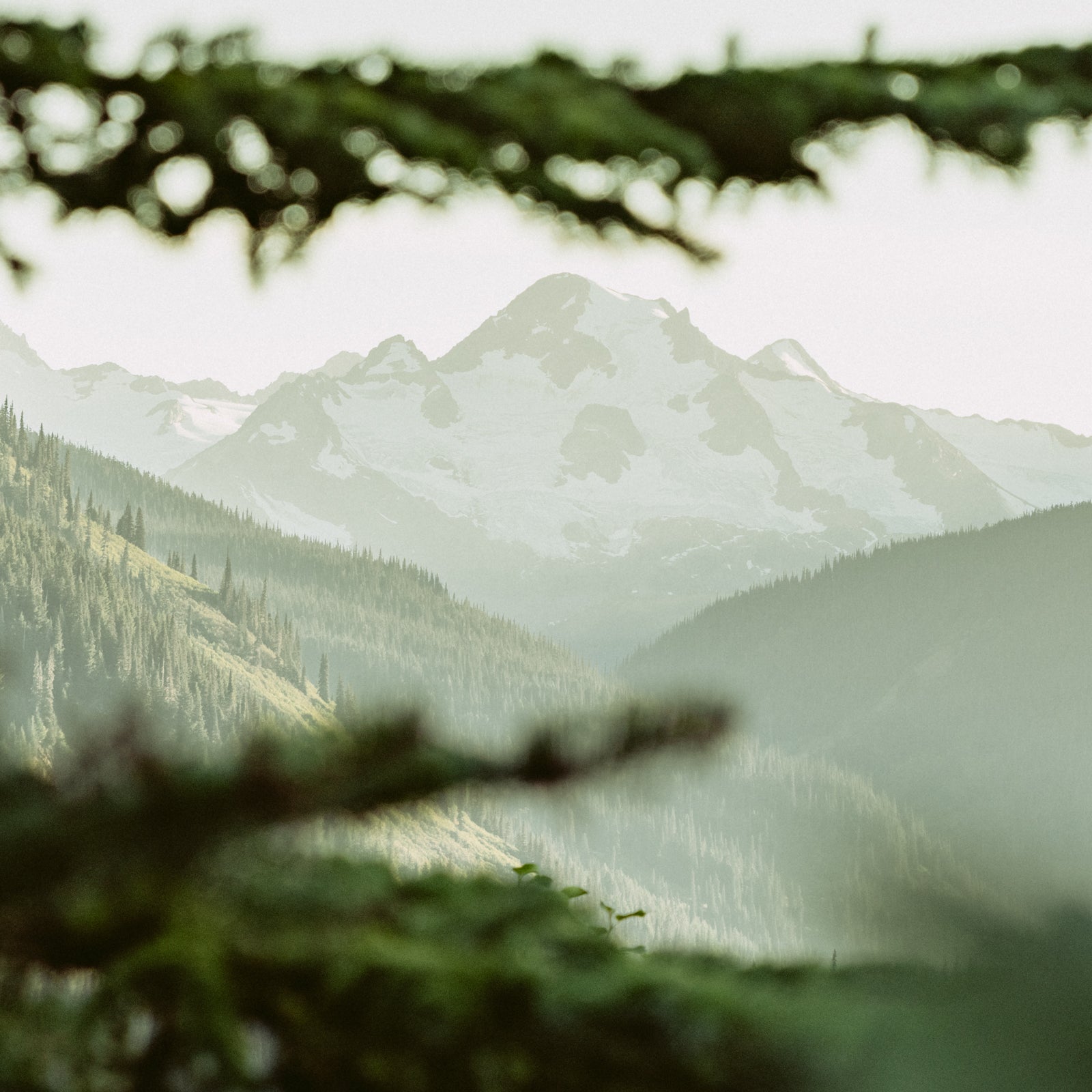 Tahltan Land, Northern BC