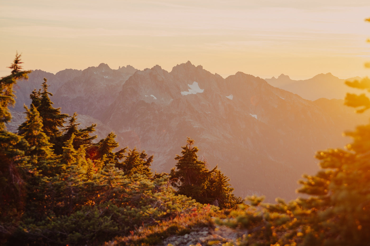 Autumn Golds, Mountain Light