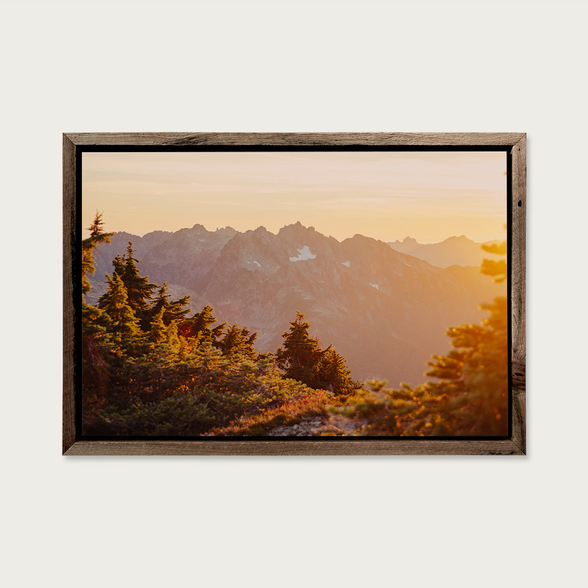 Autumn Golds, Mountain Light