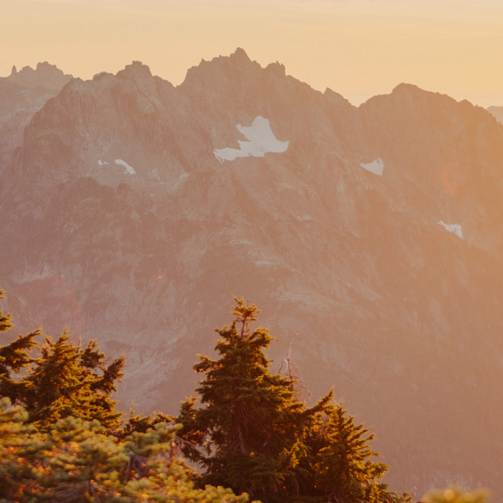 Autumn Golds, Mountain Light