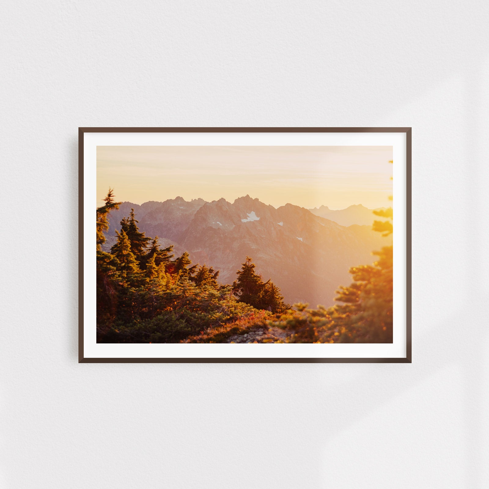 Autumn Golds, Mountain Light