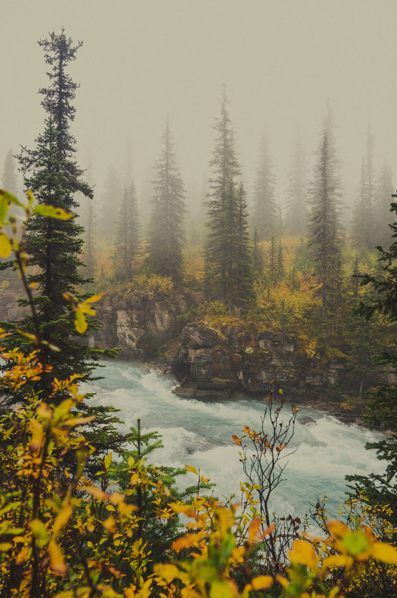 Autumn Mist, Mt. Robson