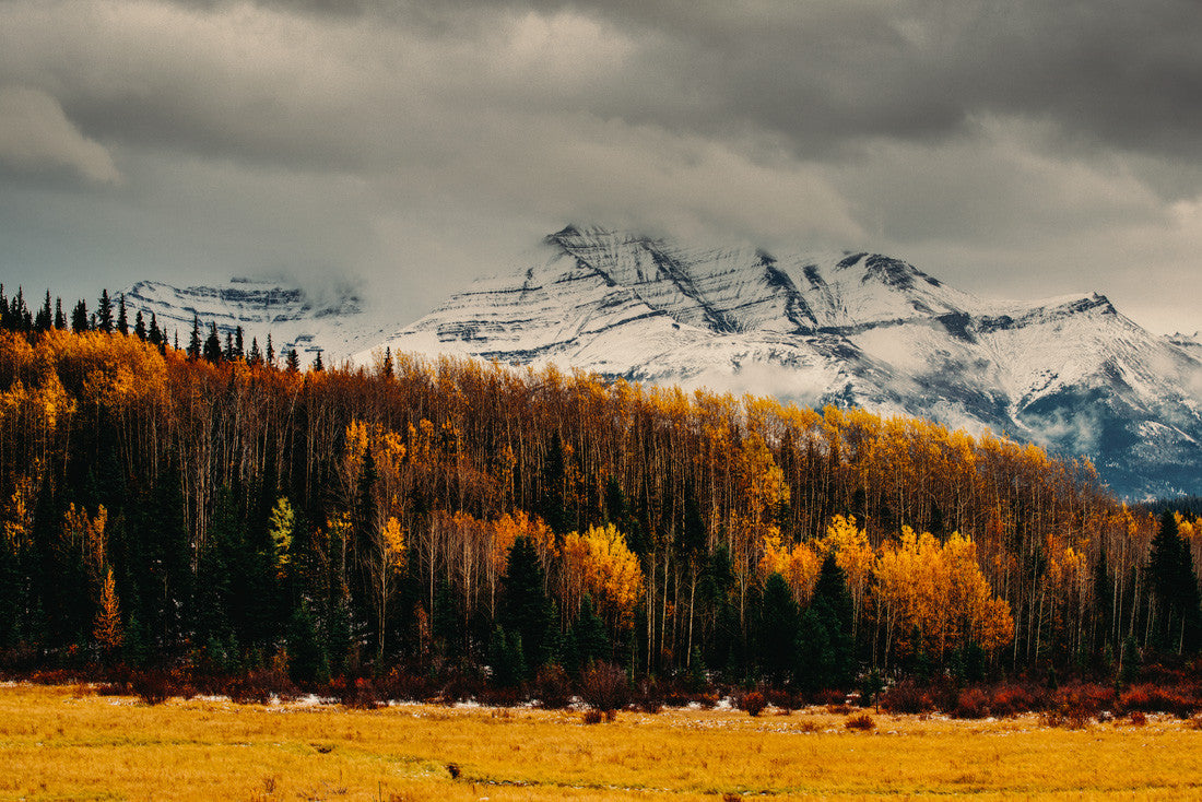 Autumn Northern British Columbia I