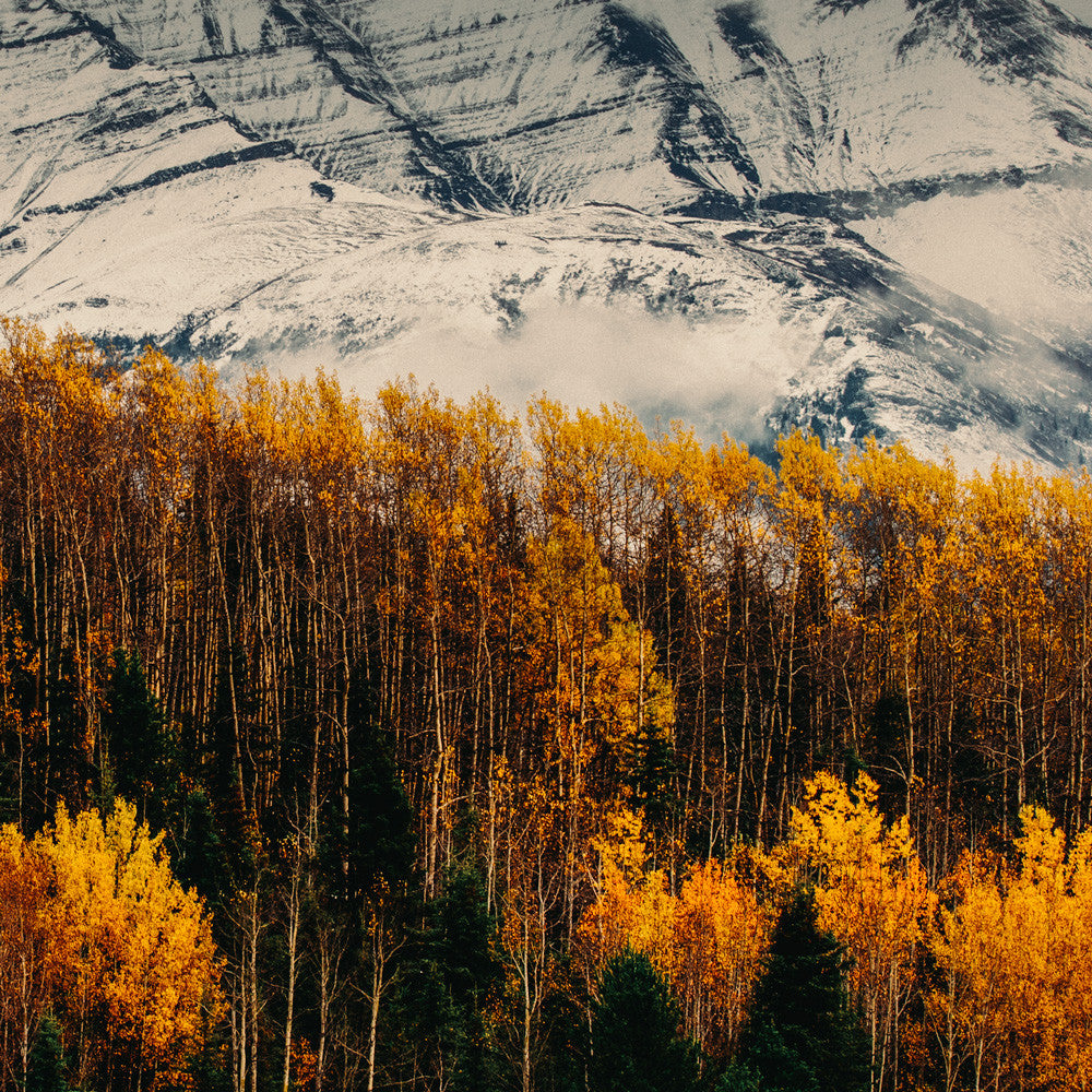 Autumn Northern British Columbia I