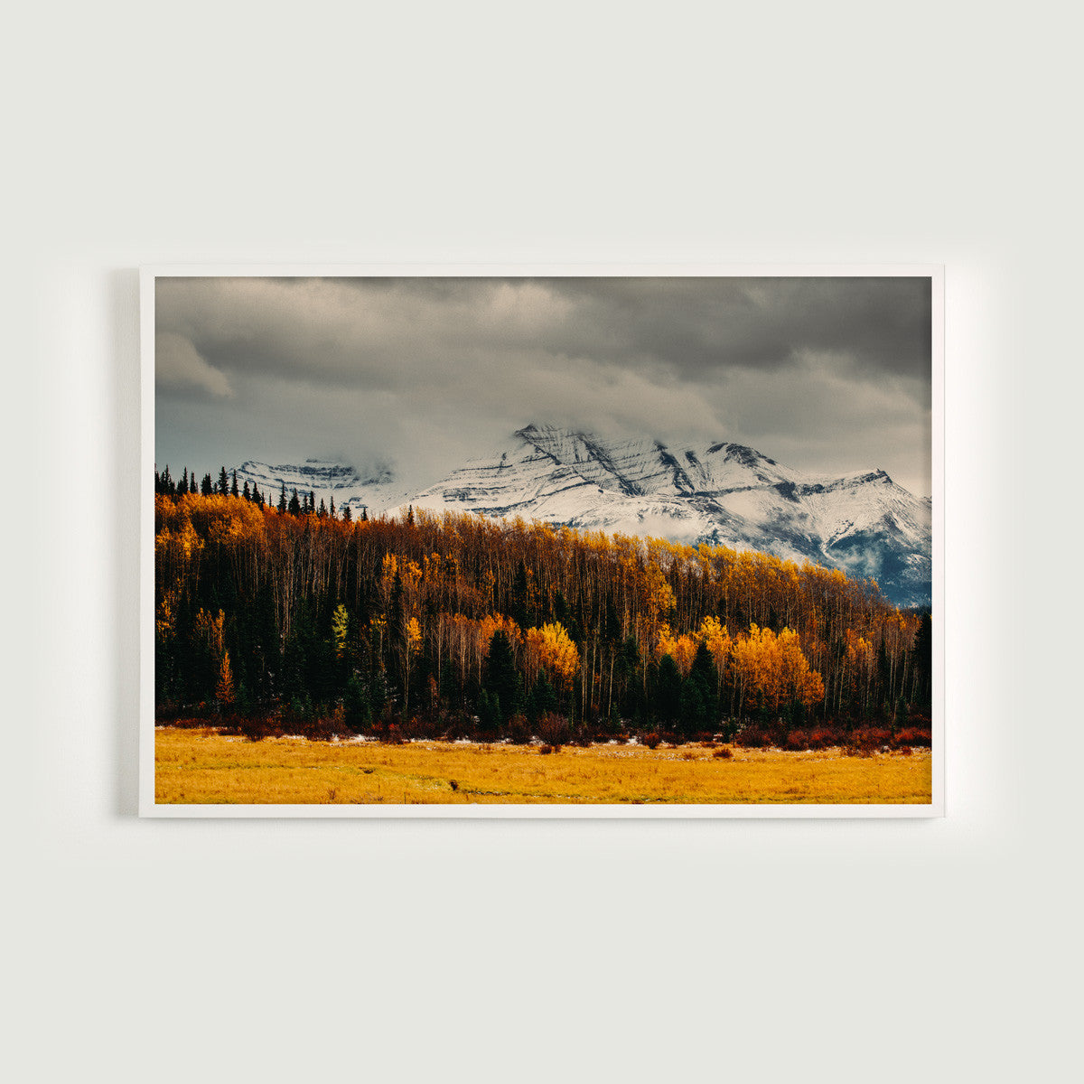 Autumn Northern British Columbia I