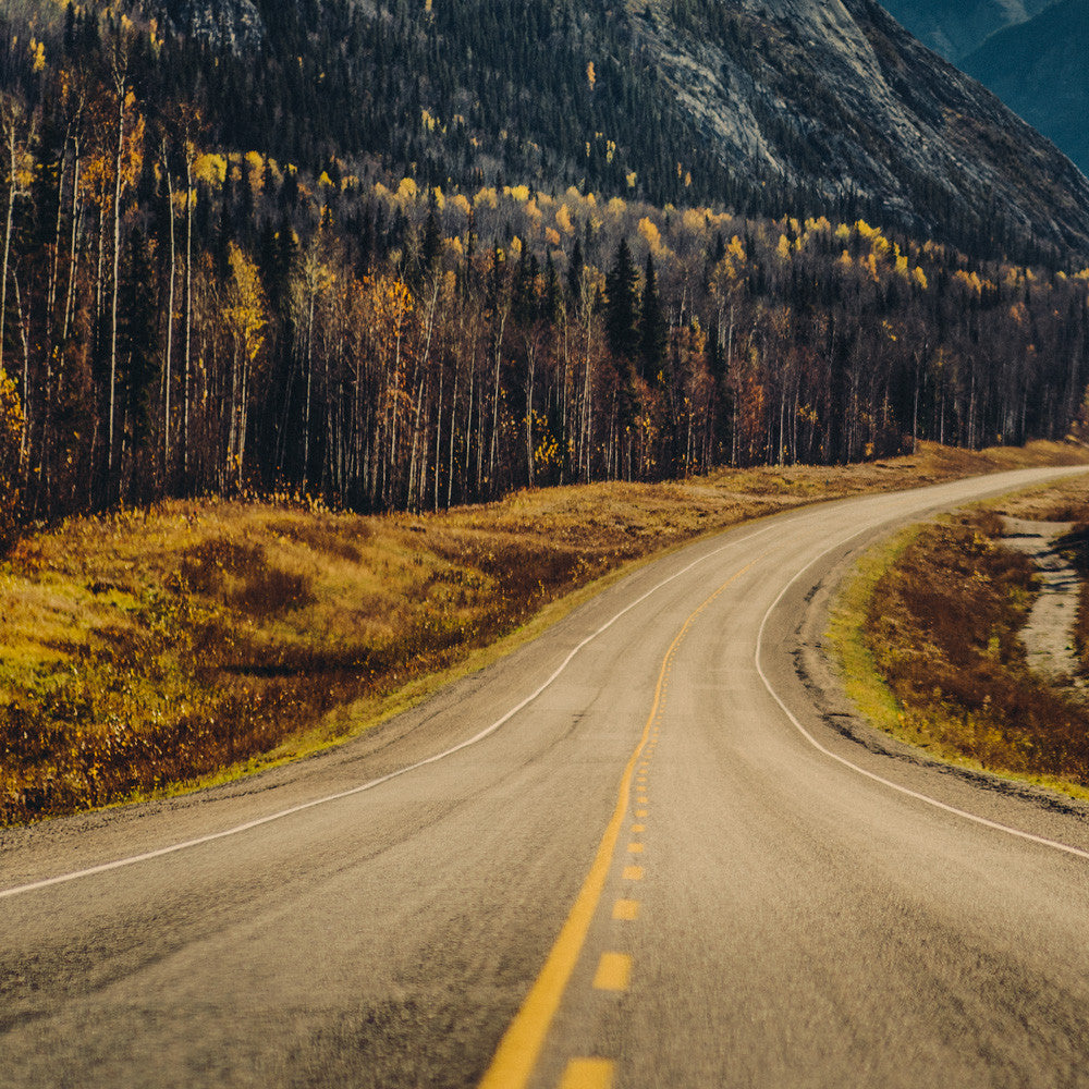 Autumn Northern British Columbia IV