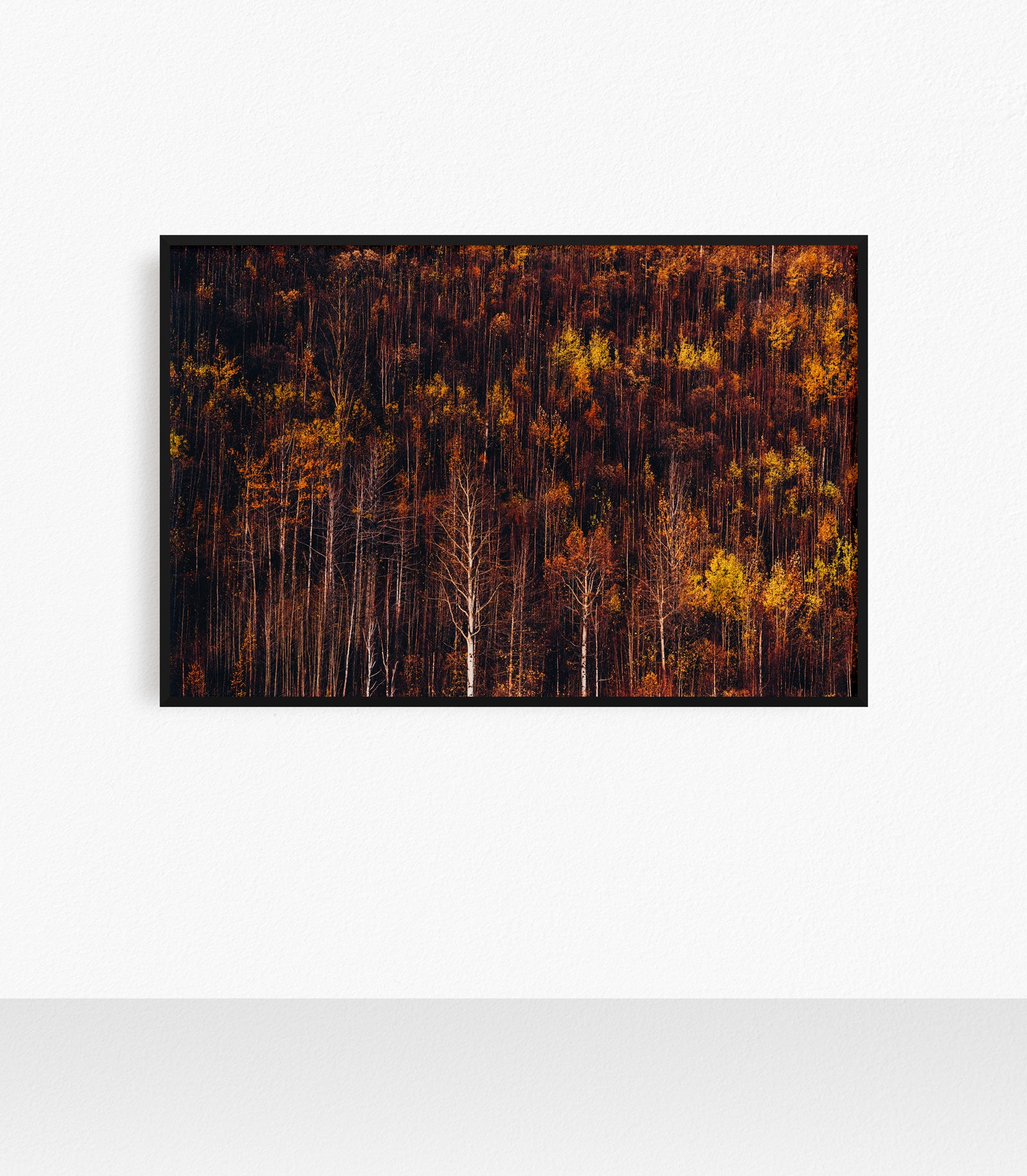 Autumn Retrospective II