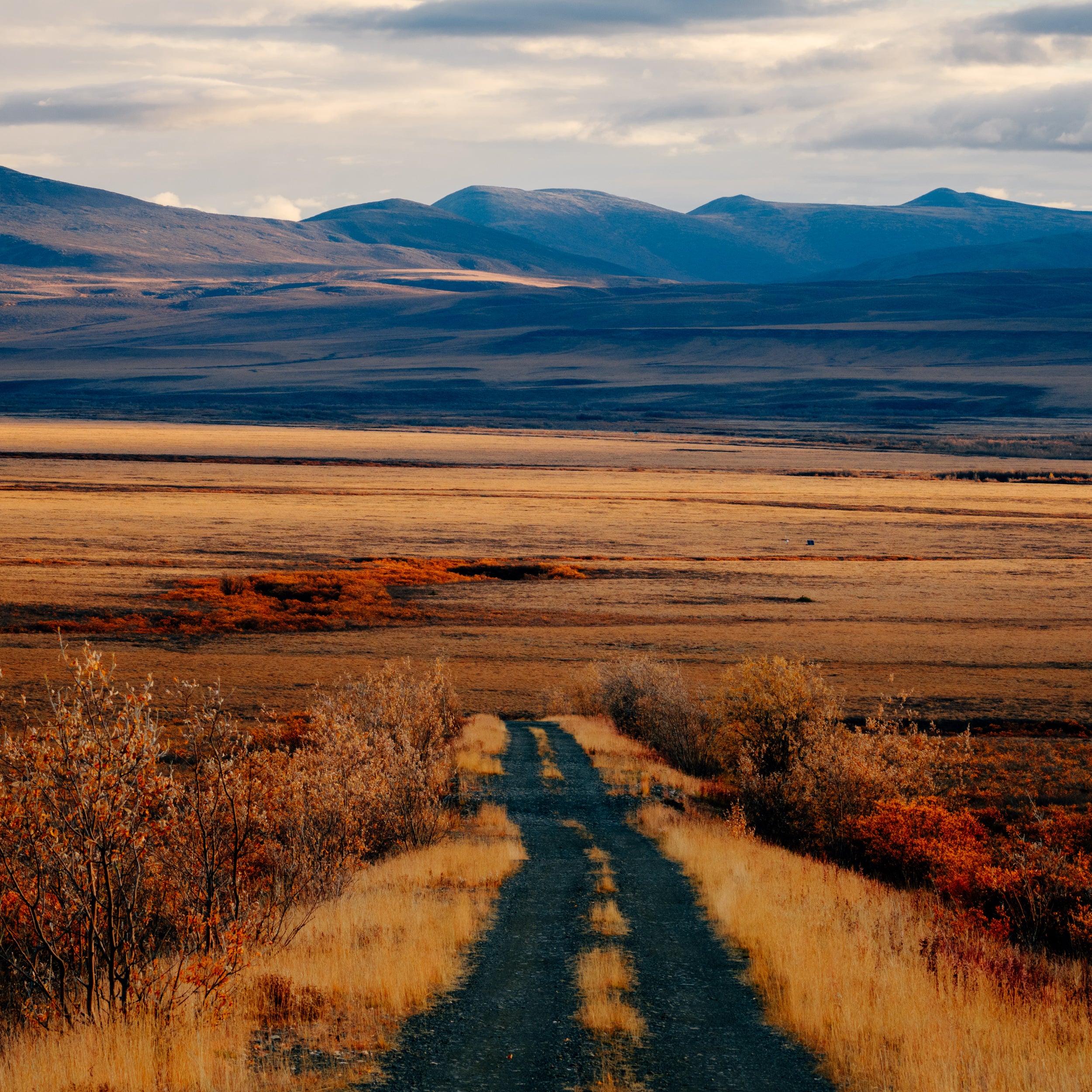 Somewhere off the Dempster, Tombstone Territorial Park, Yukon