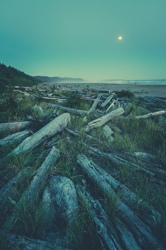 Driftwood Boneyard