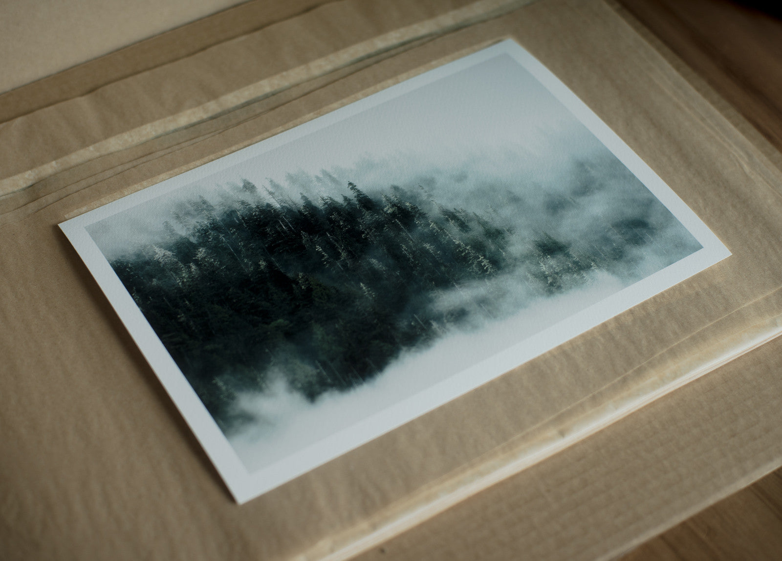 Khutzeymateen Old Growth, Great Bear Rainforest