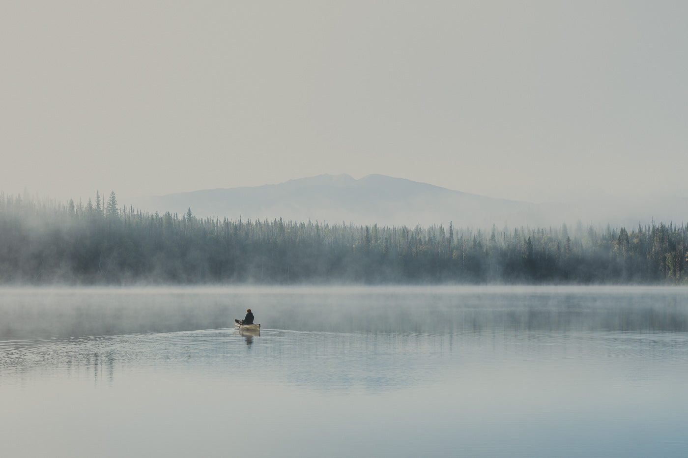 Floating on a Dream II