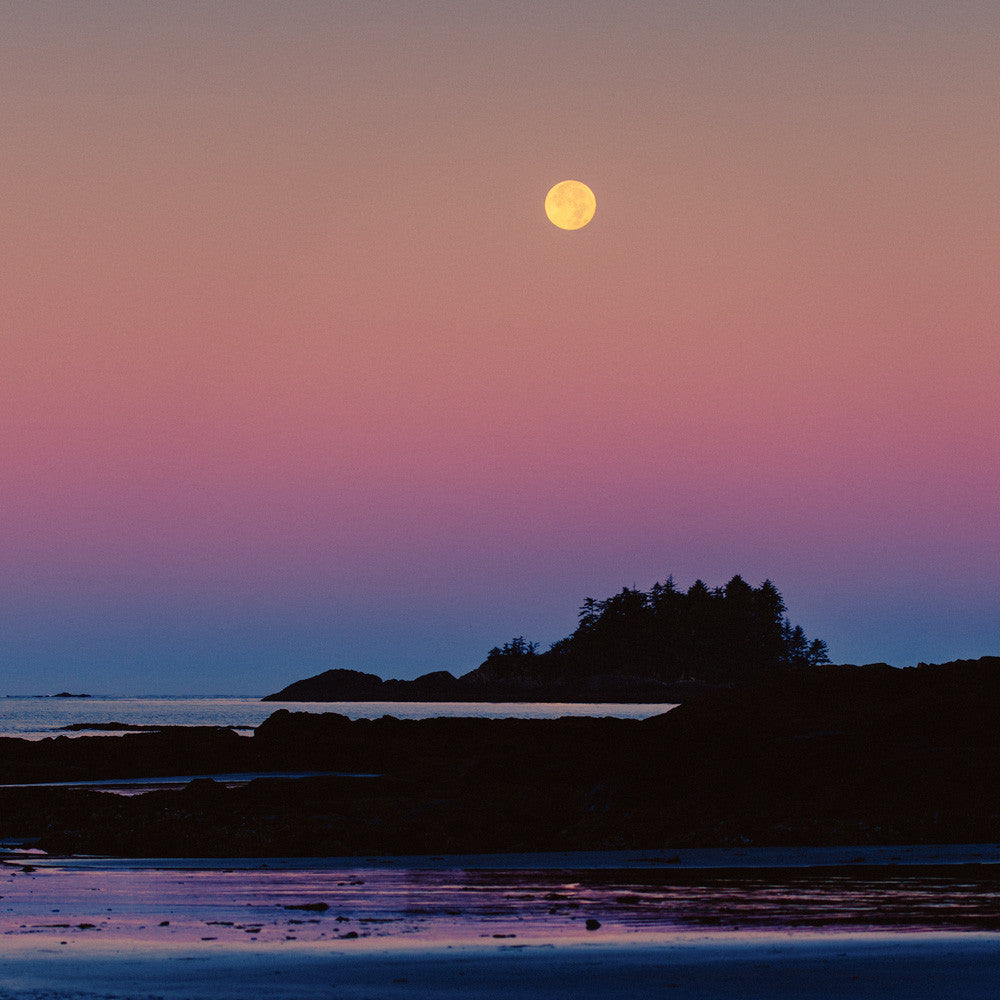 Full Moon Reflection, Chesterman’s Beach