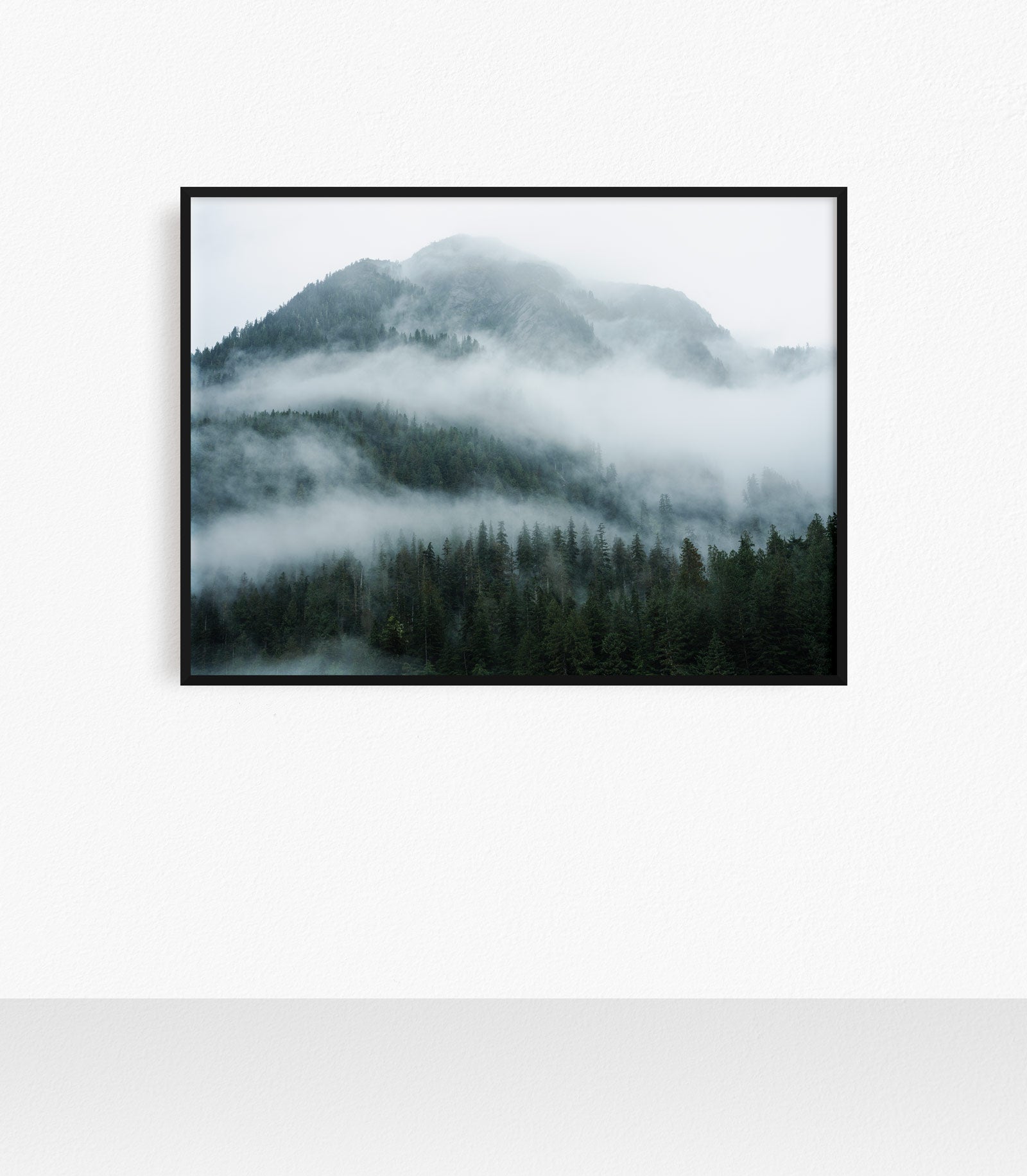 Great Bear Foggy Mountainscape I