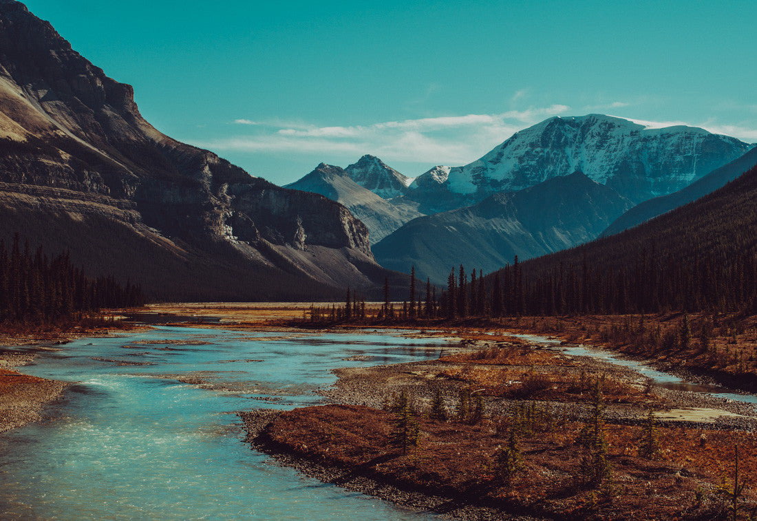 Plain, Jasper National Park