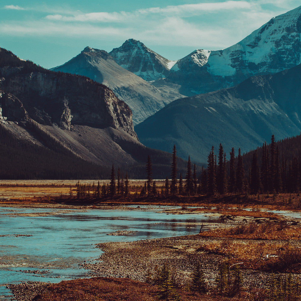 Plain, Jasper National Park