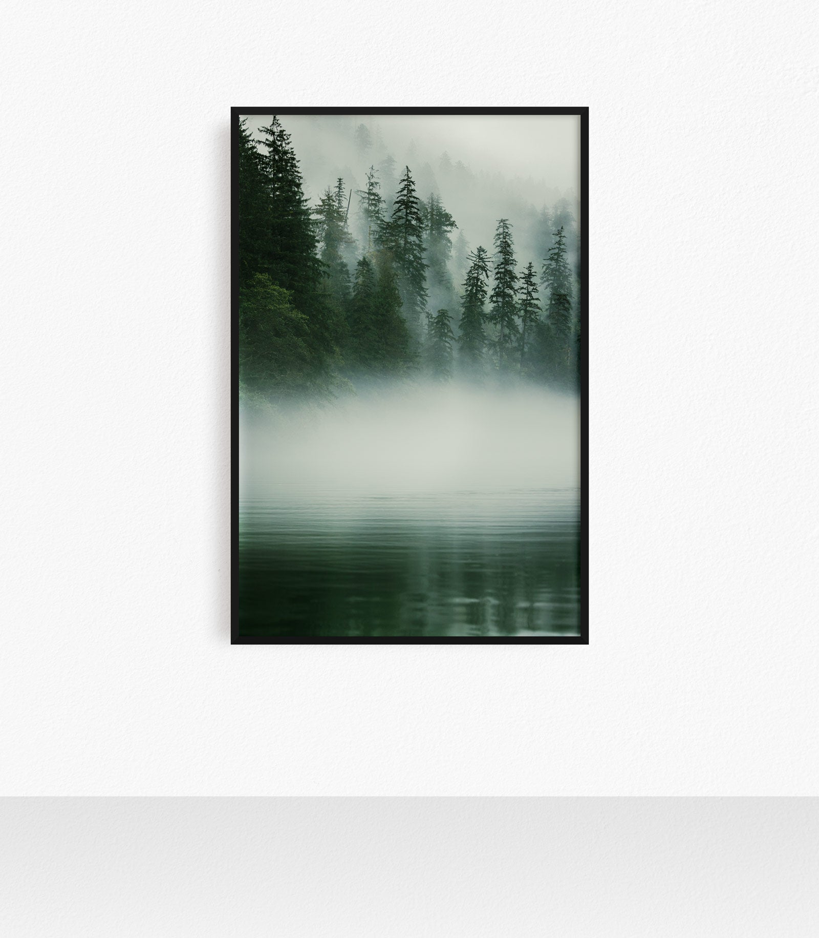 Misty Morning Khutze Inlet