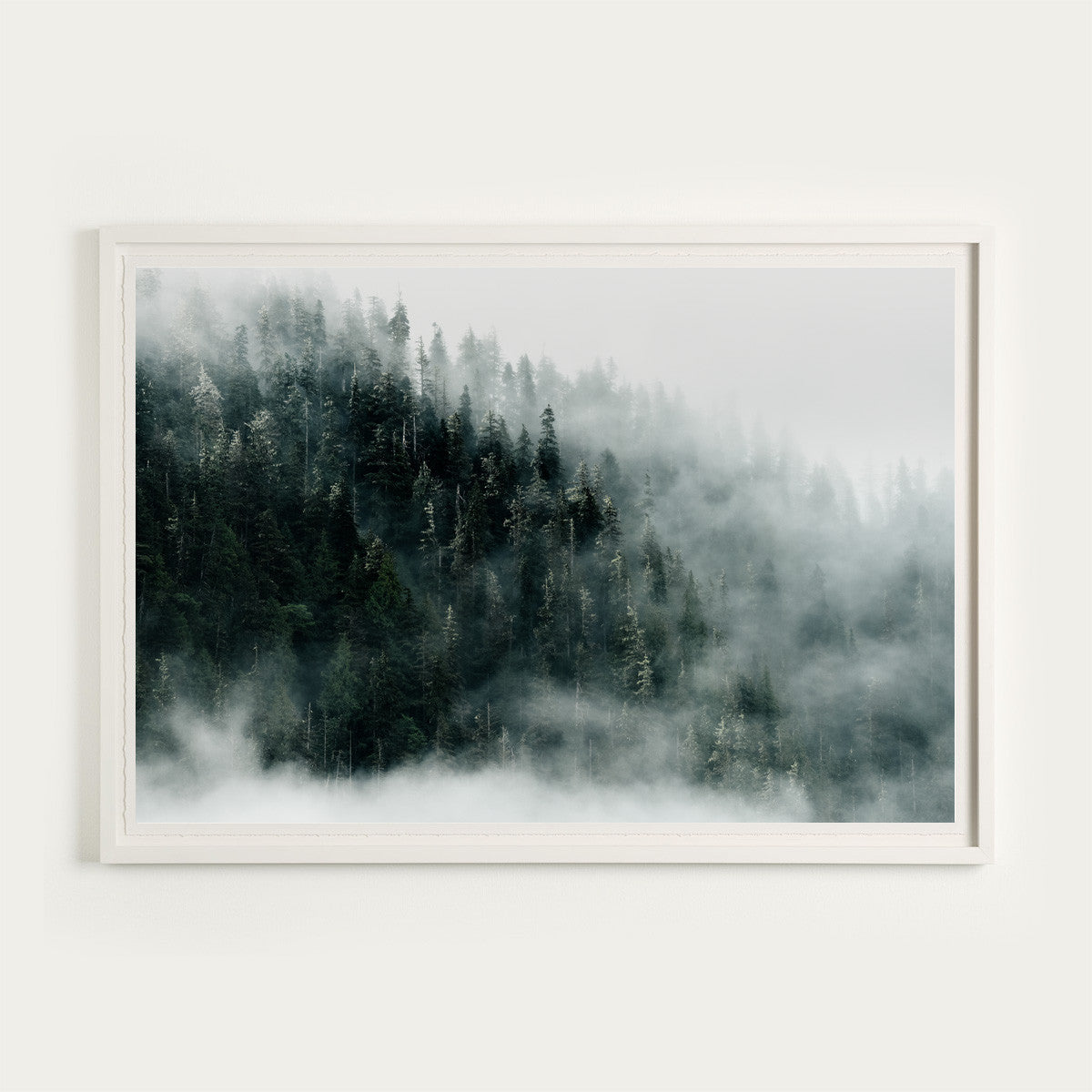 Khutzeymateen Old Growth, Great Bear Rainforest