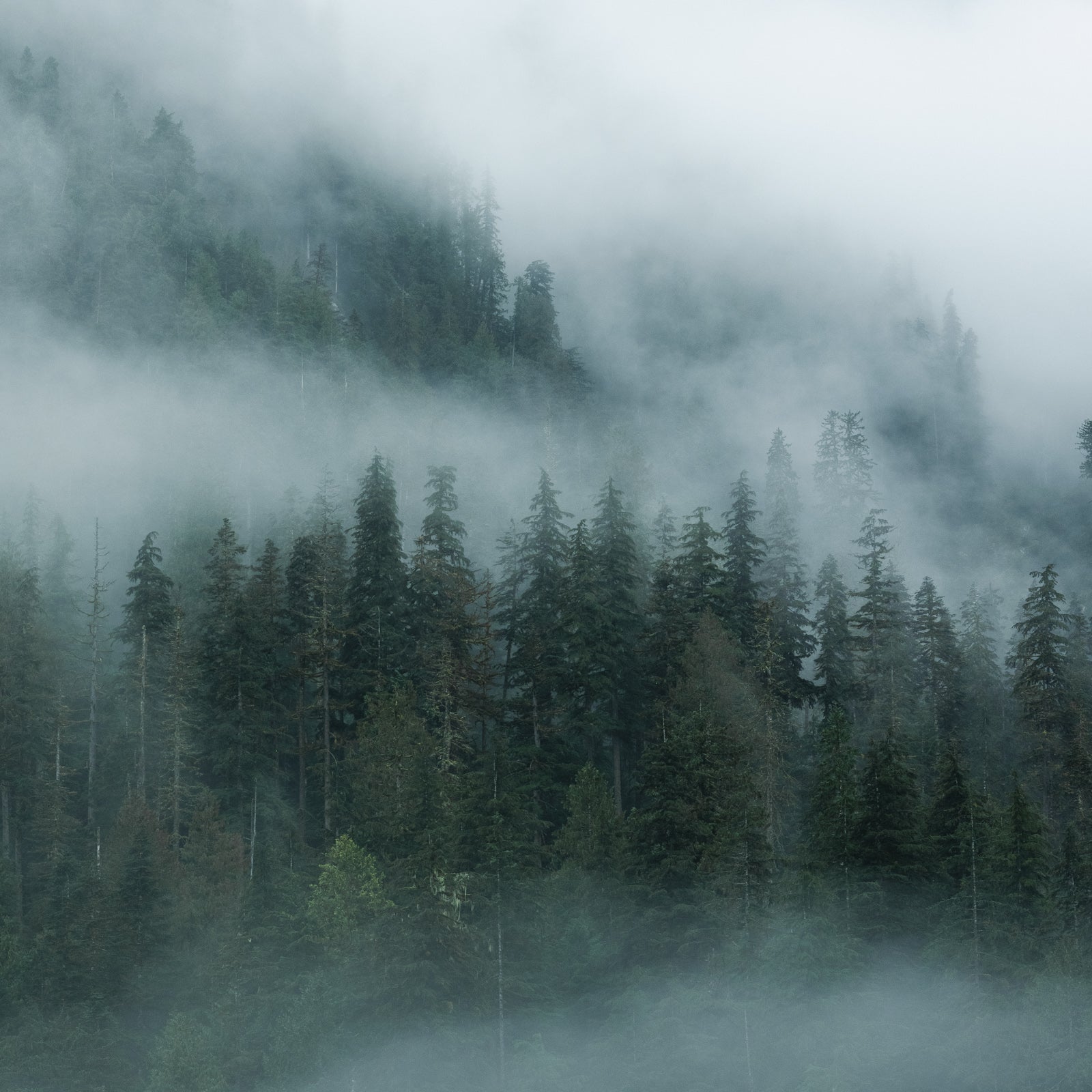Foggy Monoliths, Khutze