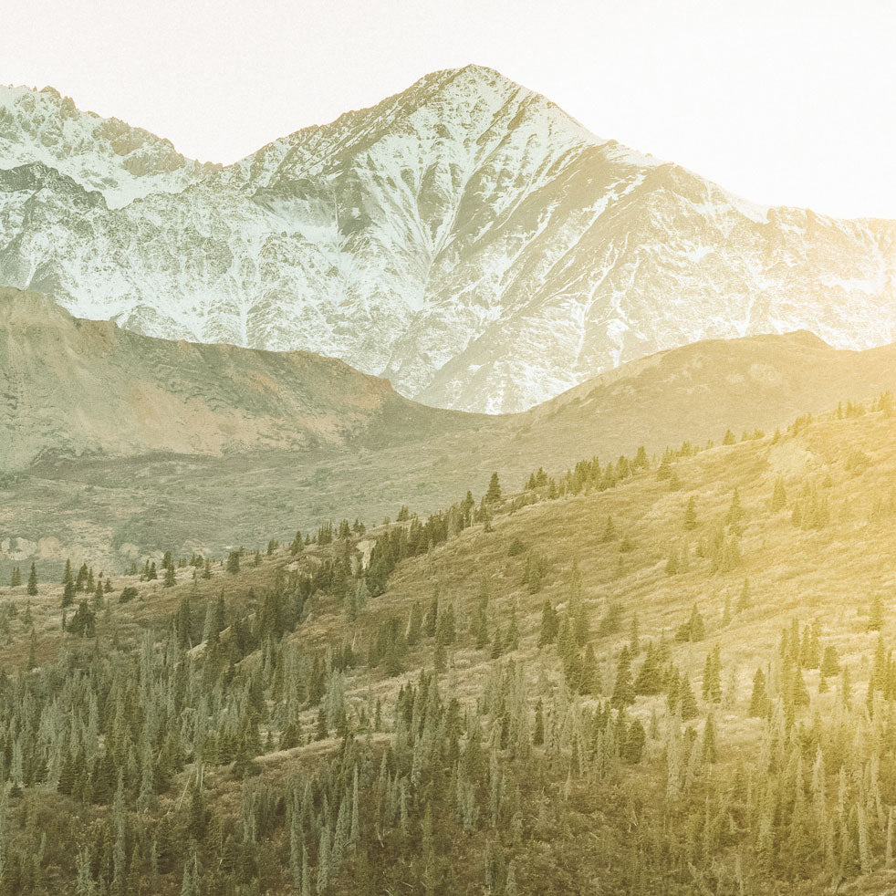 Golden Hour, Kluane National Park, Yukon