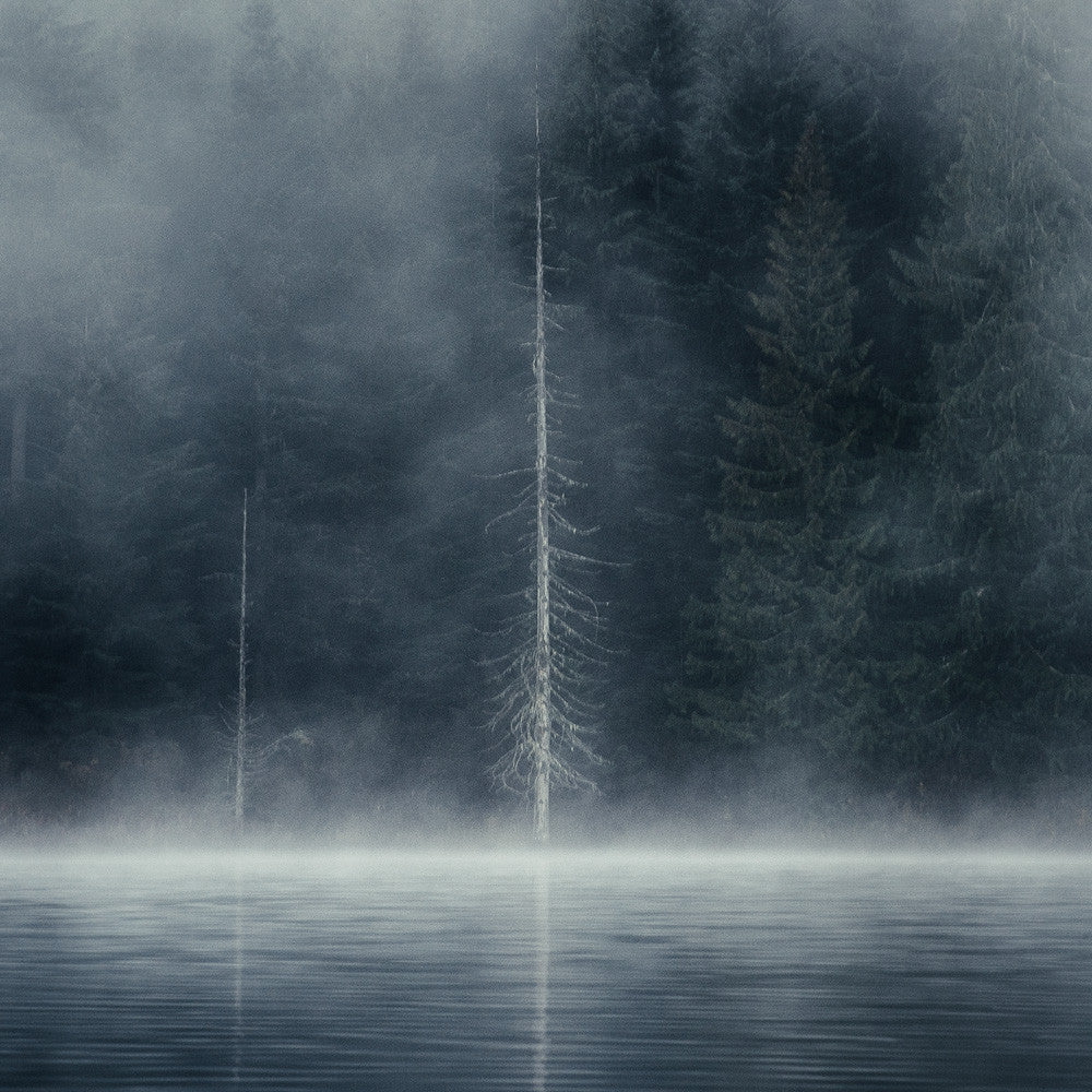 Misty Autumn Morning, Lost Lake, Whistler