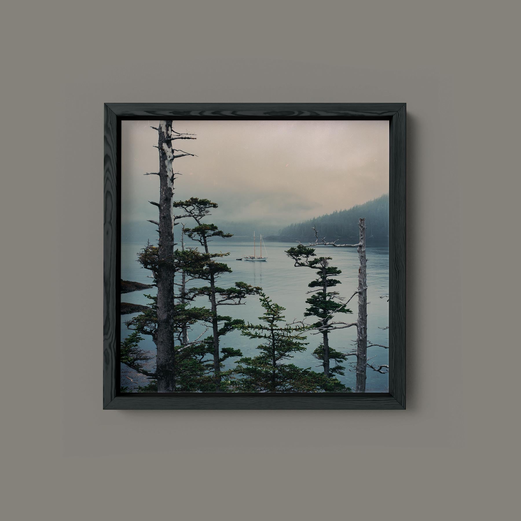 Misty Morning, Gwaii Haanas