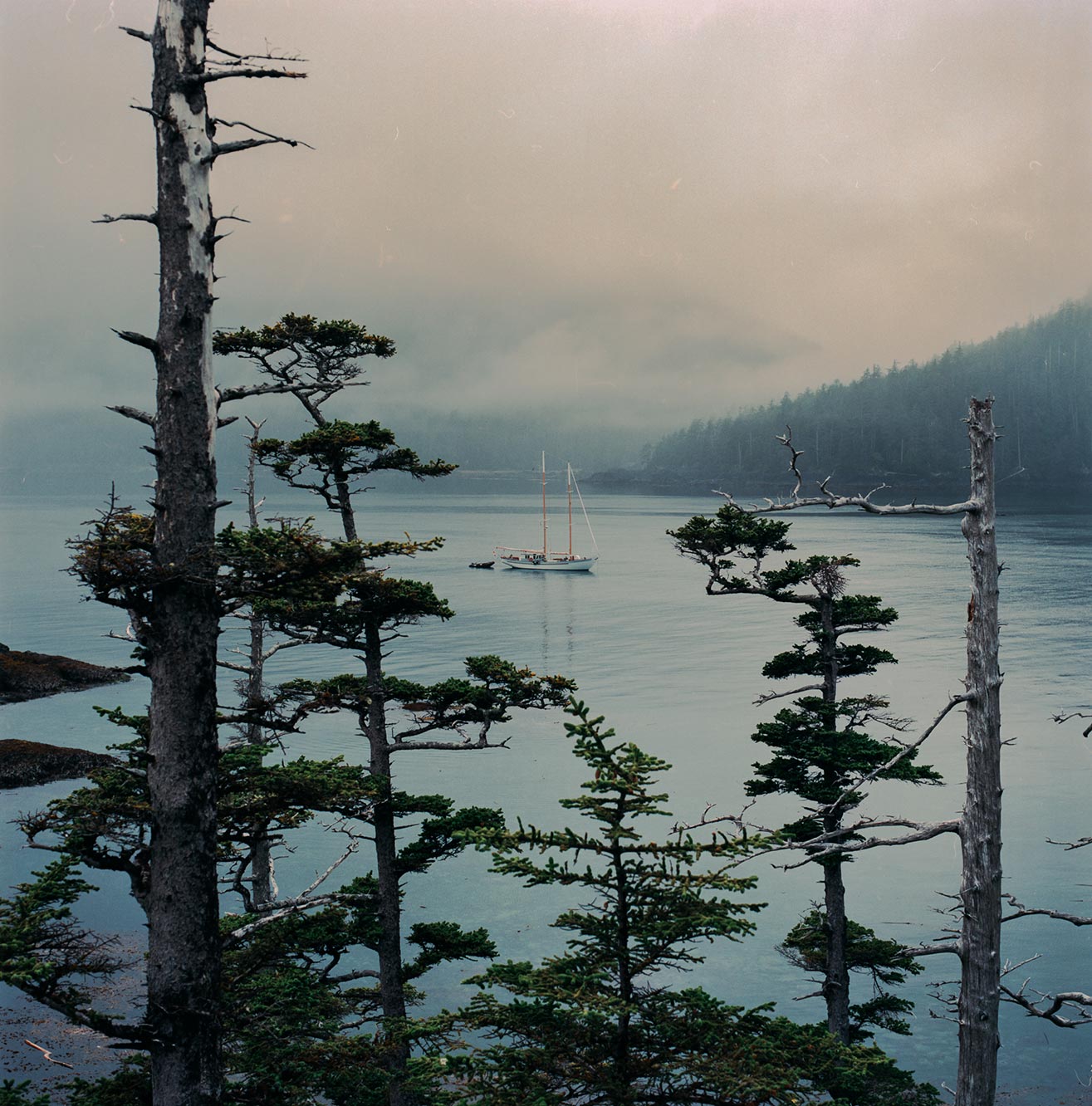 Misty Morning, Gwaii Haanas