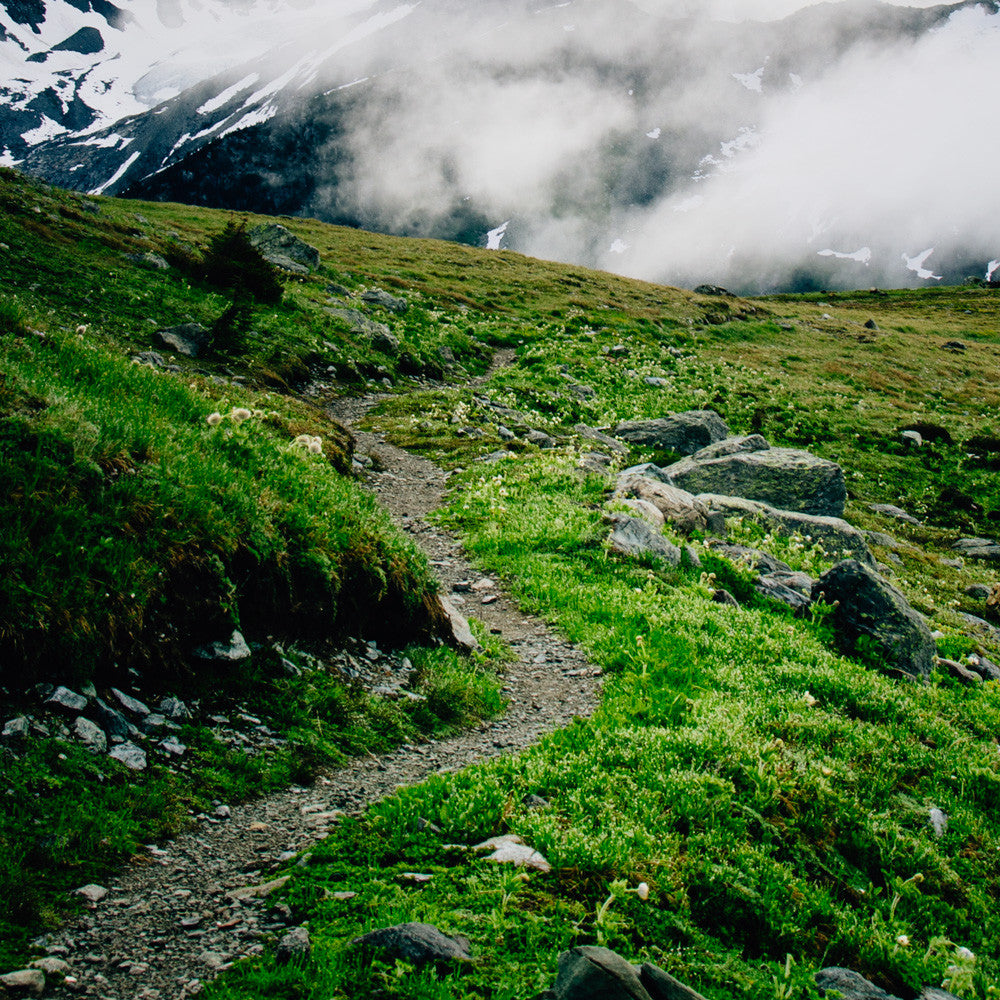 Mountain Light Study IIV