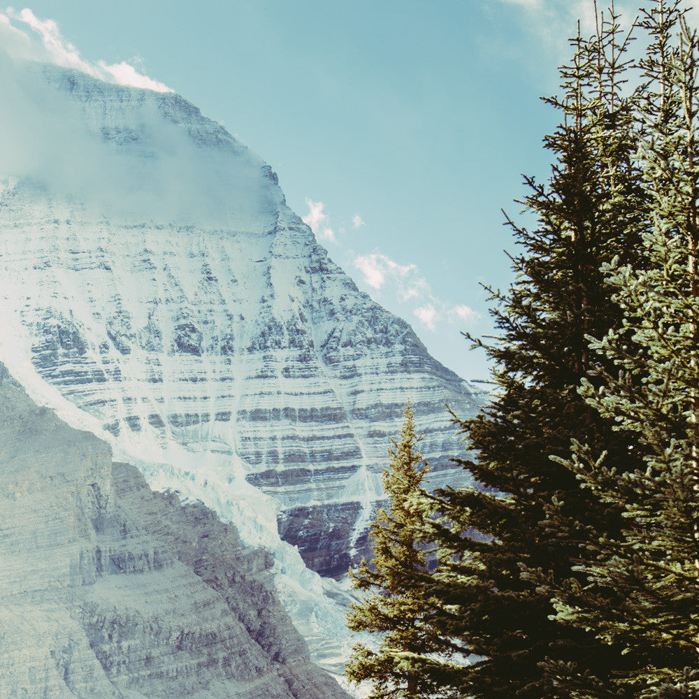Berg Lake Hut, Mt. Robson