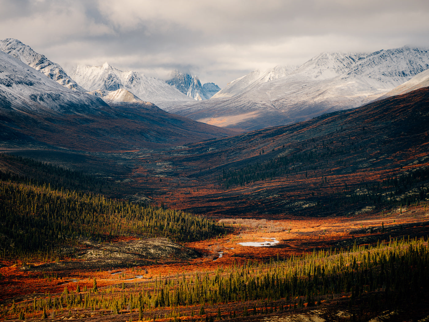 Autumn I, Tombstone Territorial Park, Yukon