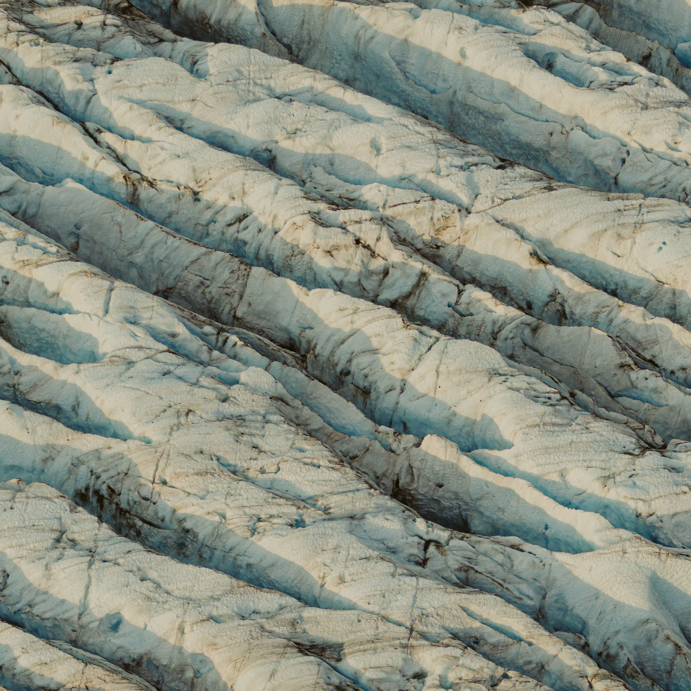 Monarch Icefield II, Bella Coola