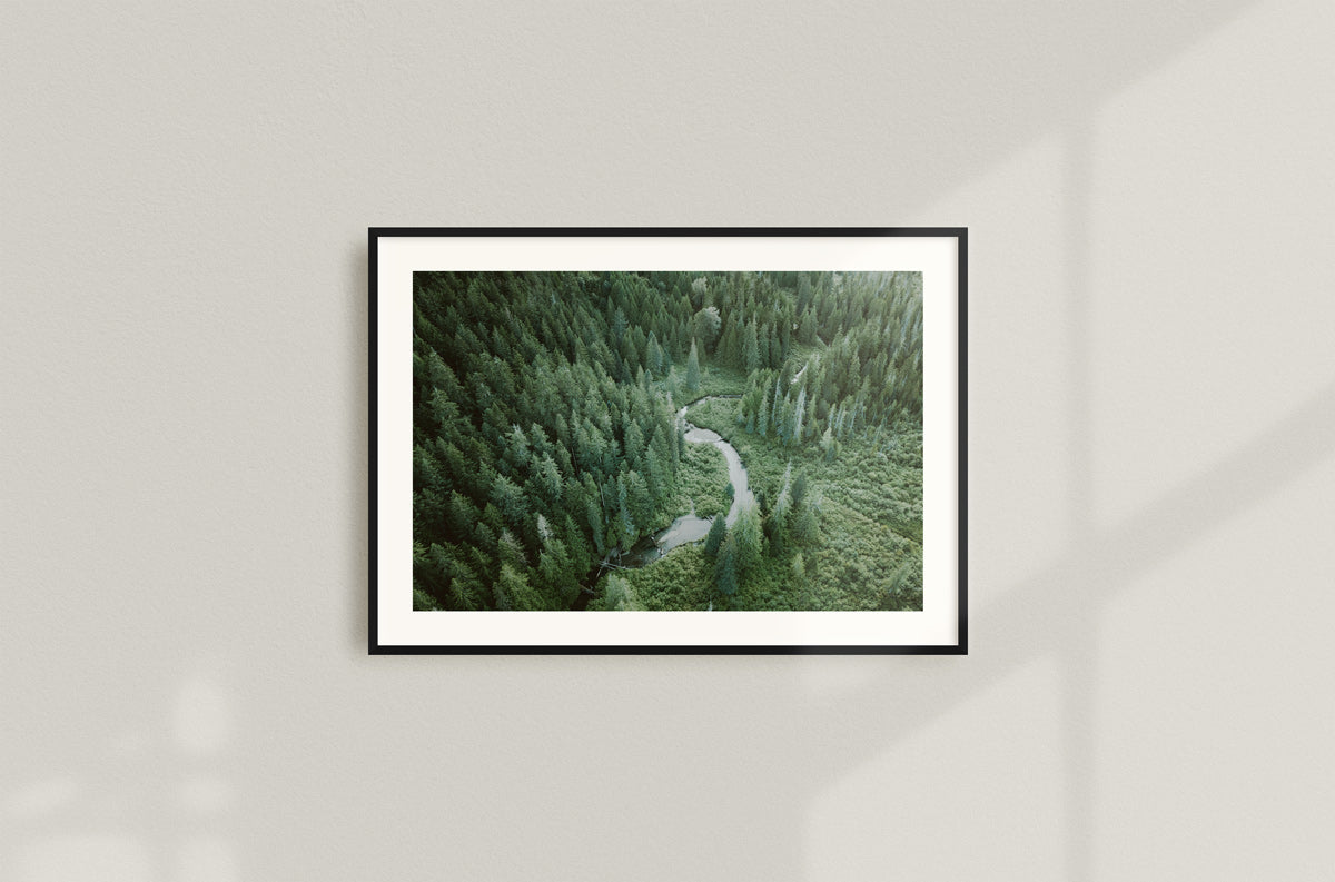 Old Growth Stream, E.C. Manning Park