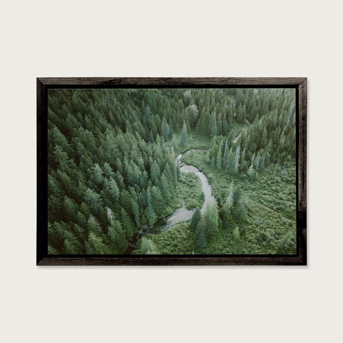 Old Growth Stream, E.C. Manning Park