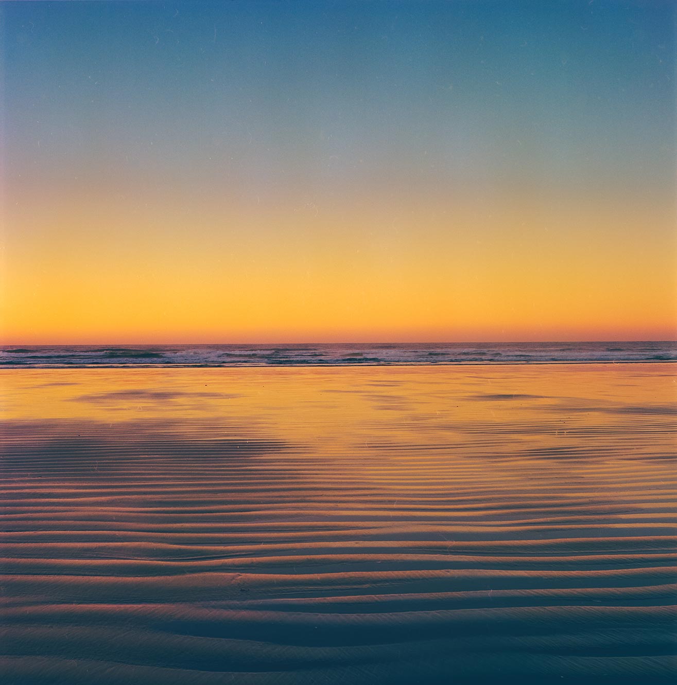 Orange Horizon, Pacific Rim National Park