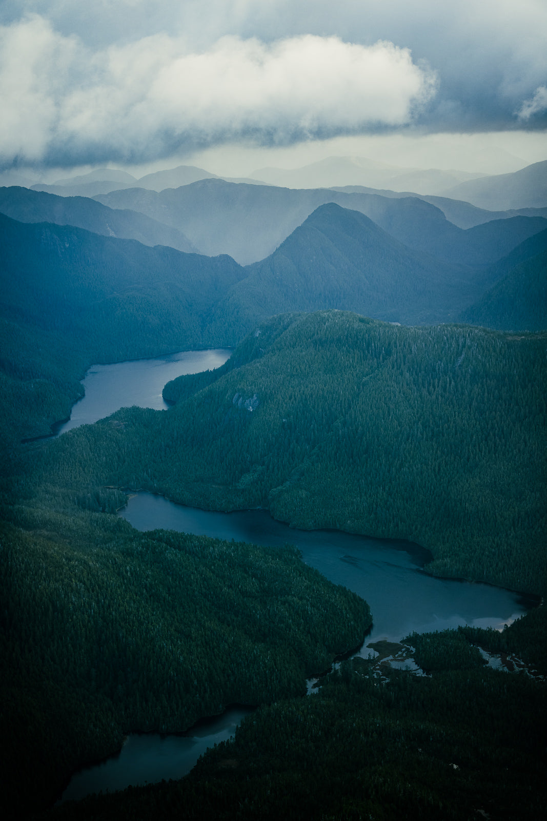 Princess Royal Island, Aerial I