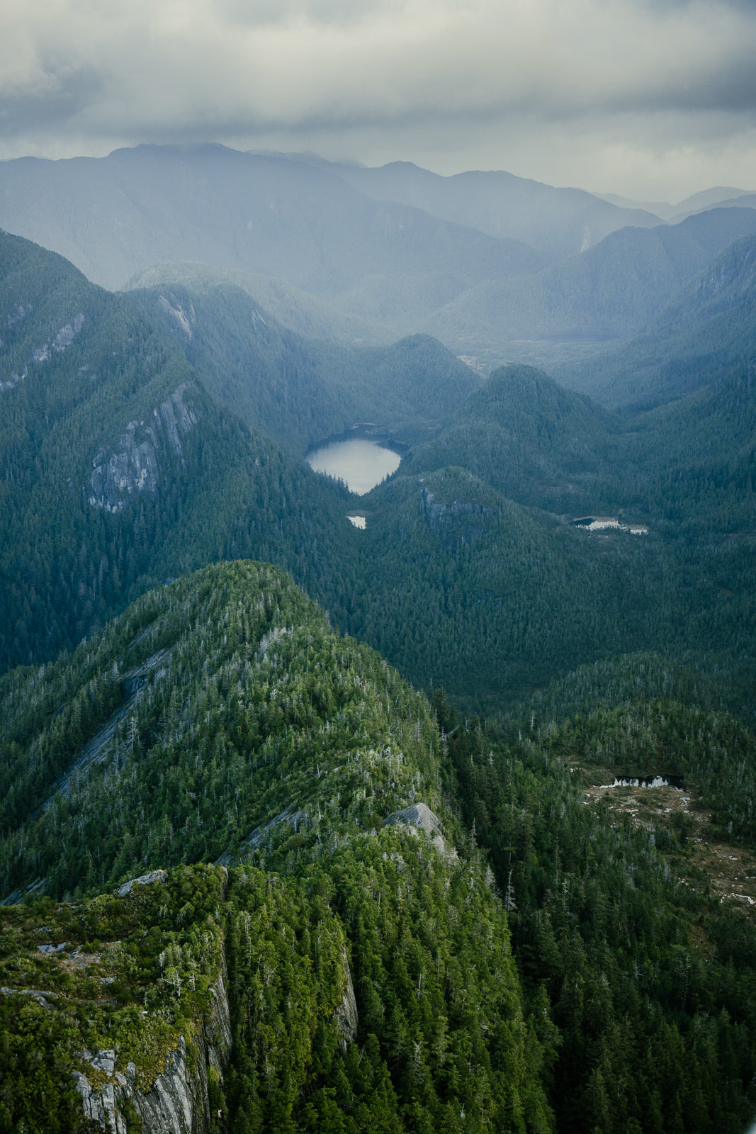 Princess Royal Island, Aerial II