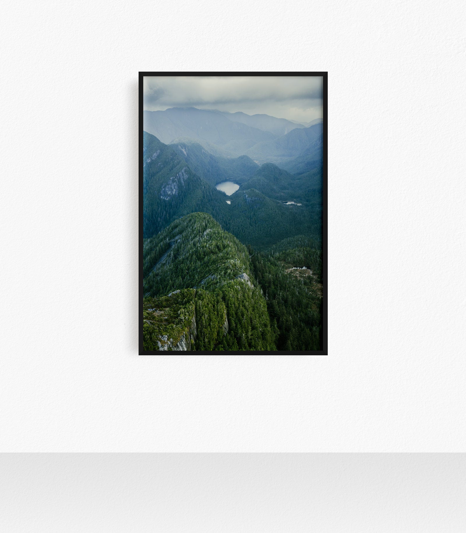 Princess Royal Island, Aerial II