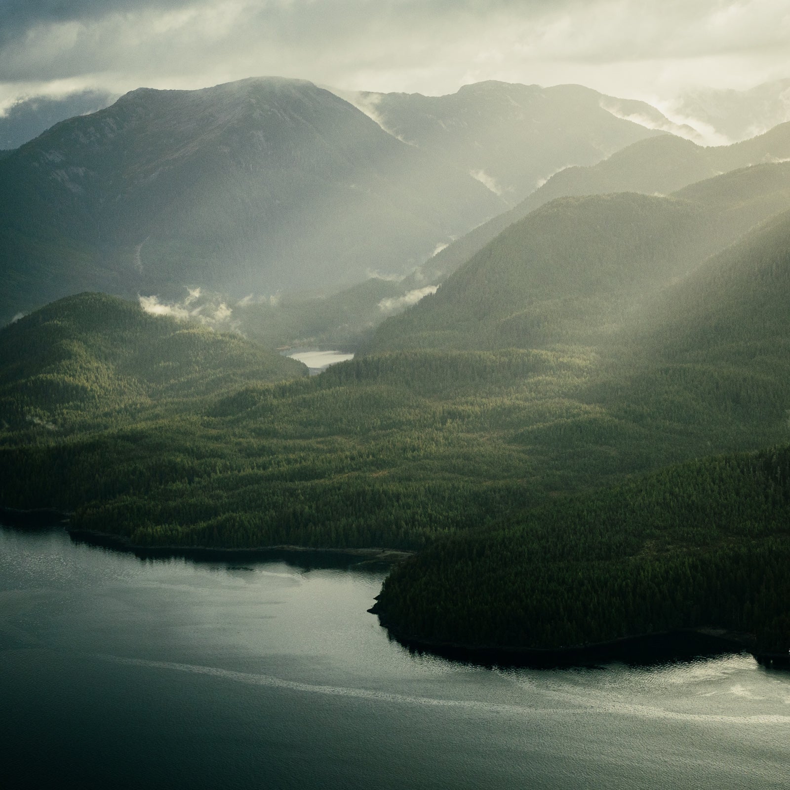 Princess Royal Island, Aerial III