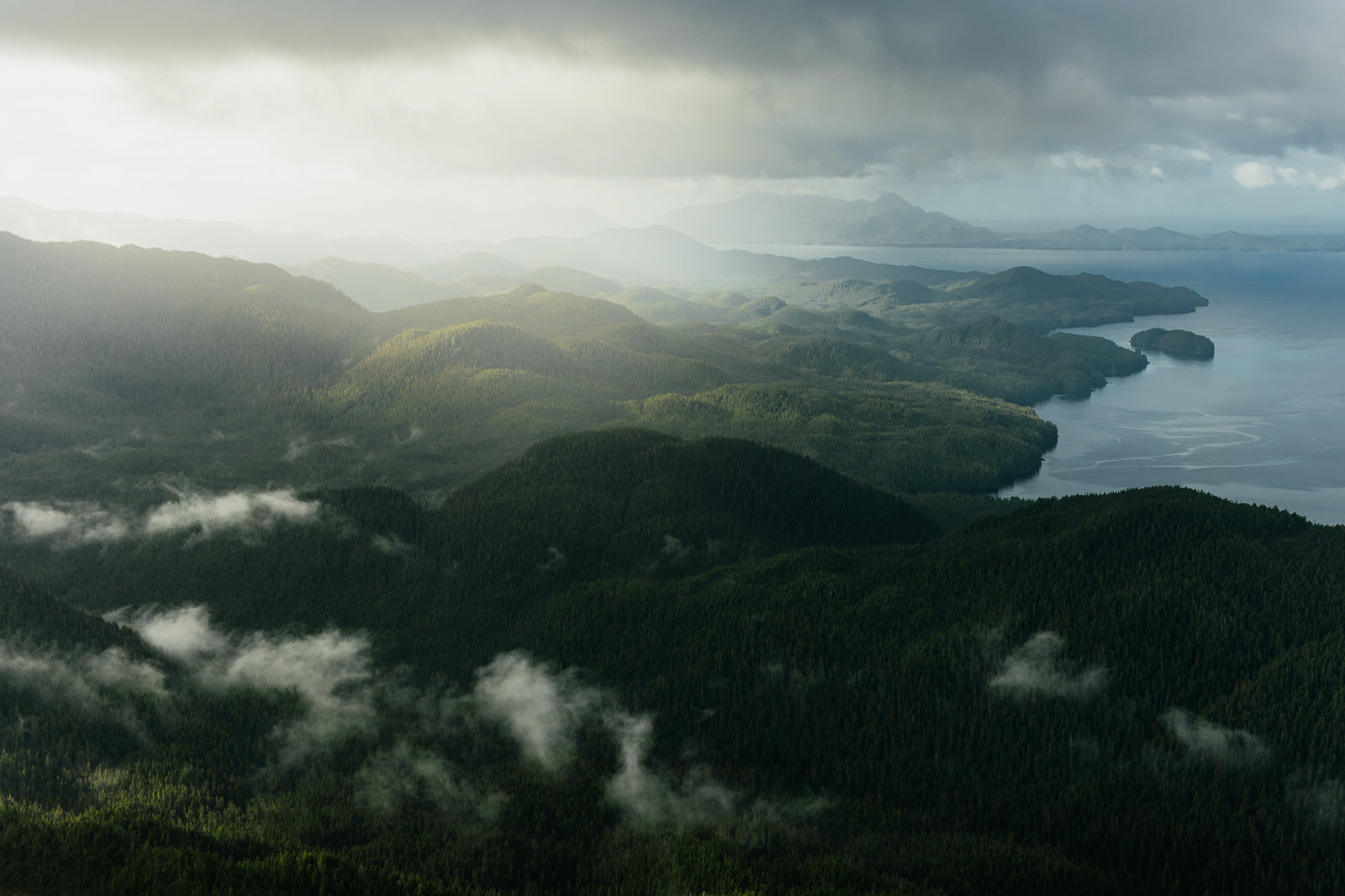 Princess Royal Island, Aerial V