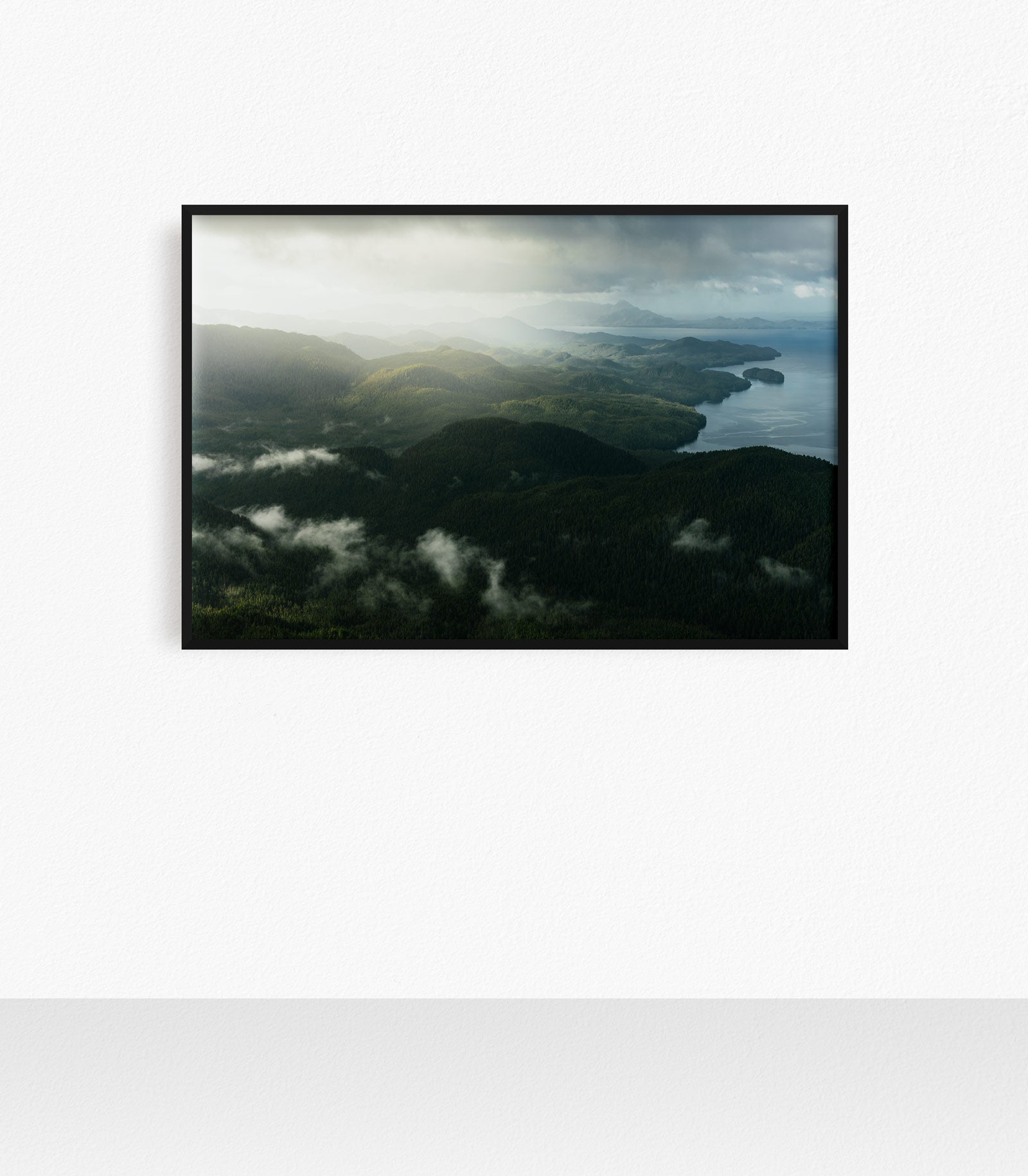 Princess Royal Island, Aerial V