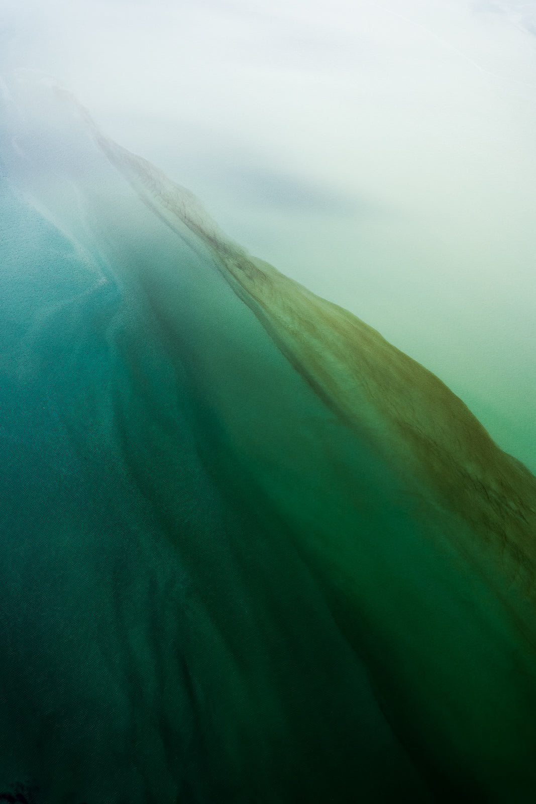 Skeena River Tannins