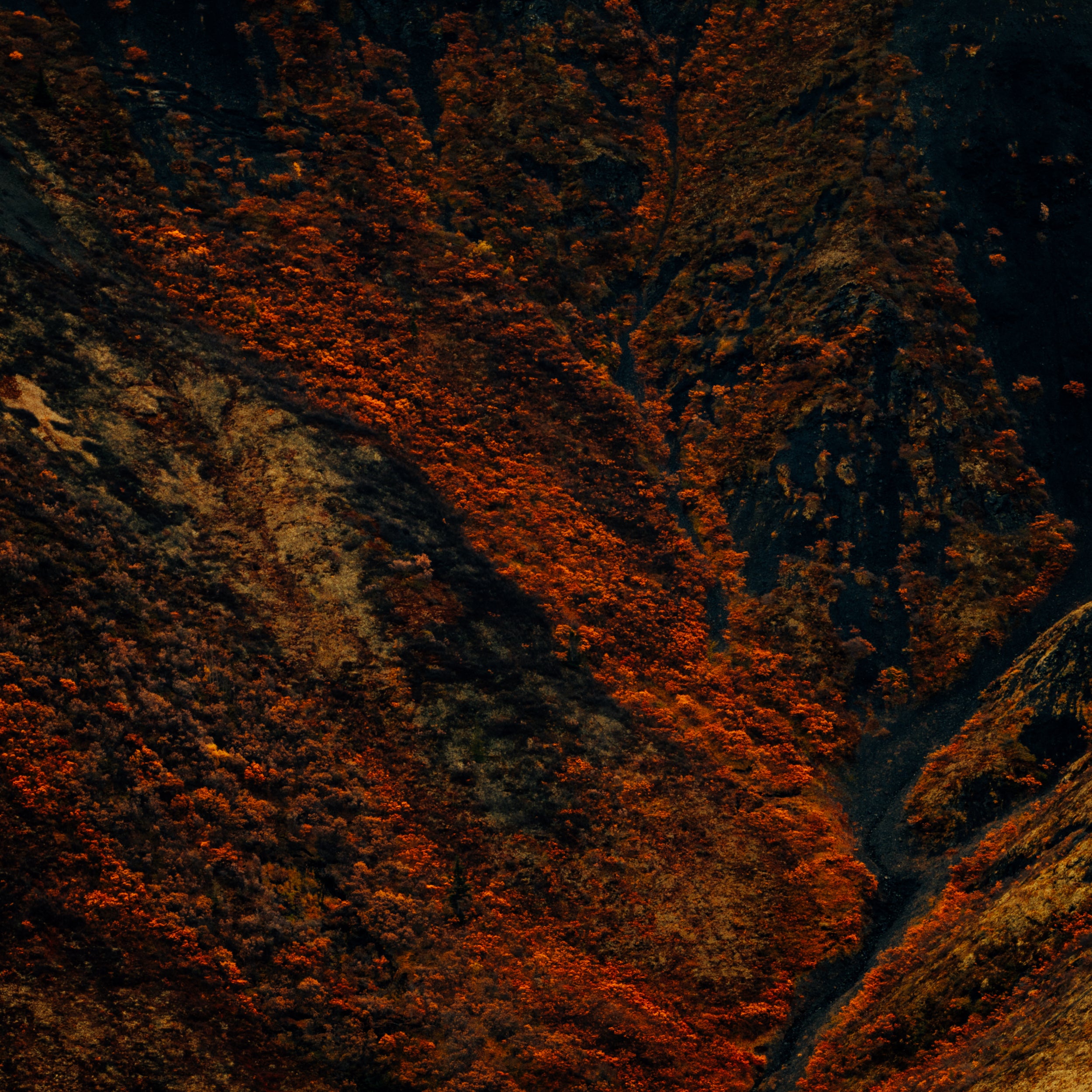 Winter is Coming, Tombstone Territorial Park, Yukon