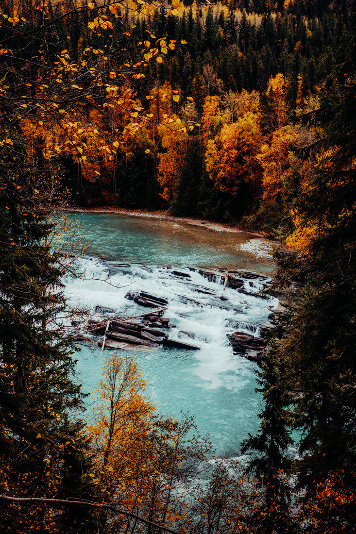 Rearguard Falls III