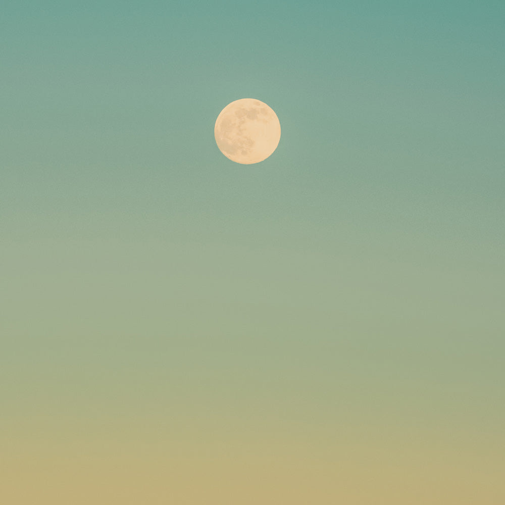 Red, Blue & Sunset Hue, Pacific Rim National Park