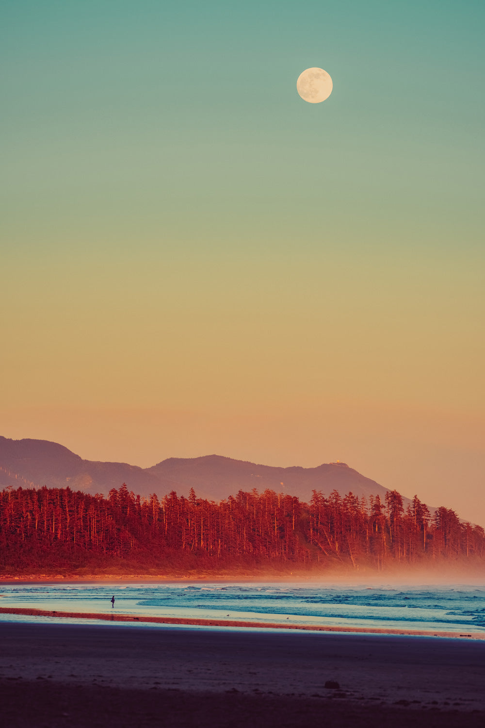 Red, Blue & Sunset Hue, Pacific Rim National Park